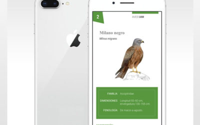 Aplicación móvil de las Aves del Retiro