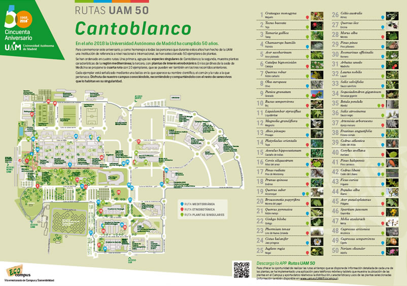 Plano Ruta Cantoblanco Universidad Autonoma de Madrid BioatlasApp Grupo Heliconia
