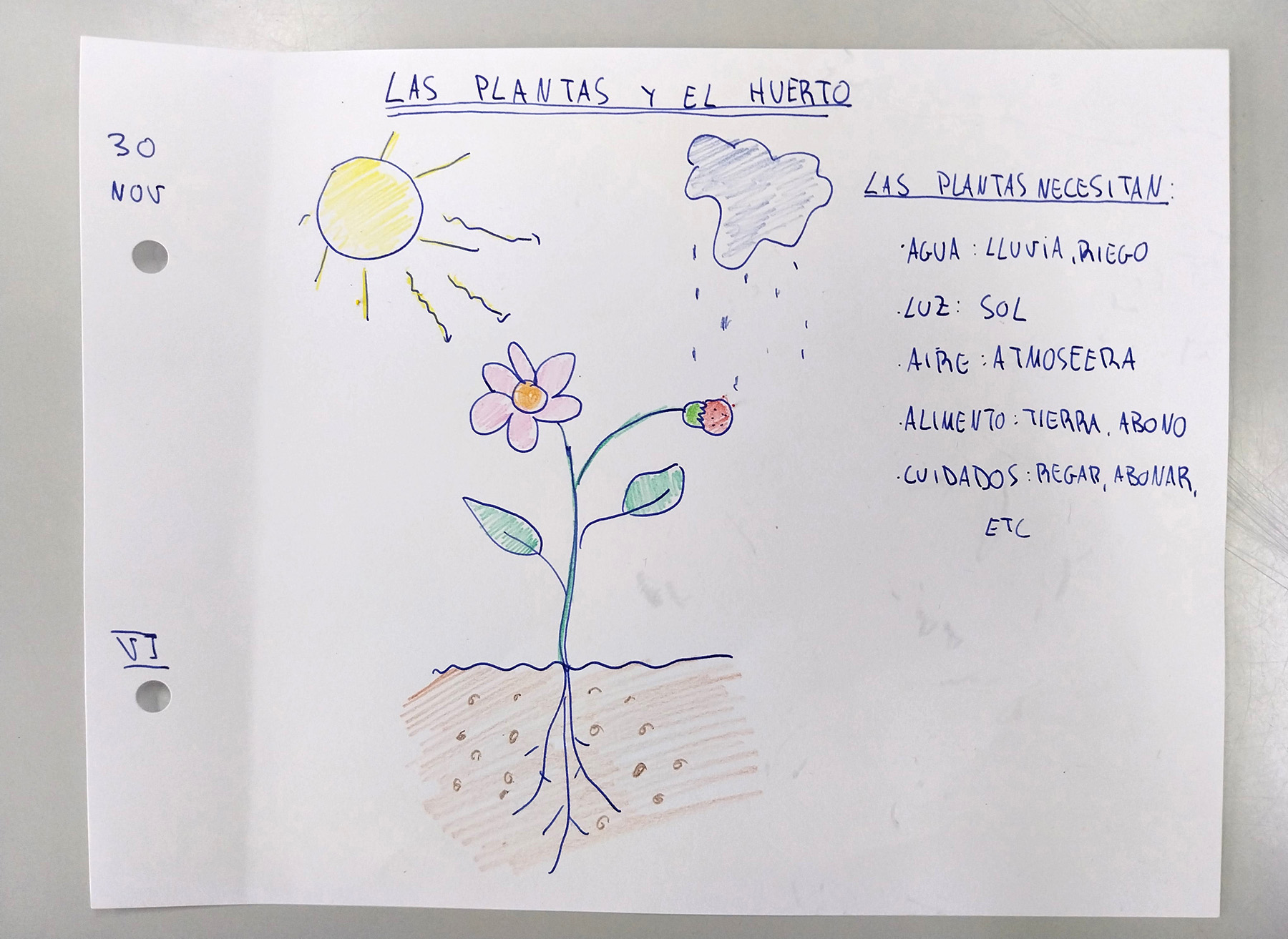 Nuevas experiencias educativas en el Colegio Estudio de Madrid. Cuaderno de plantas en el Huerto Escolar